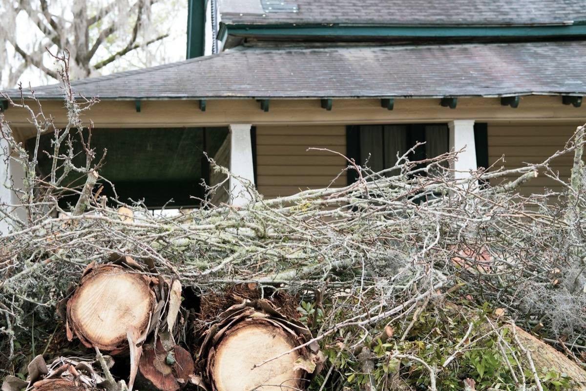 Fallen tree branches piled next to a residential home